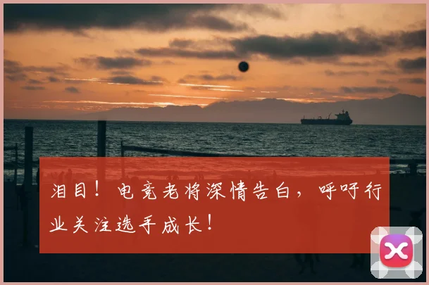 泪目!电竞老将深情告白,呼吁行业关注选手成长!